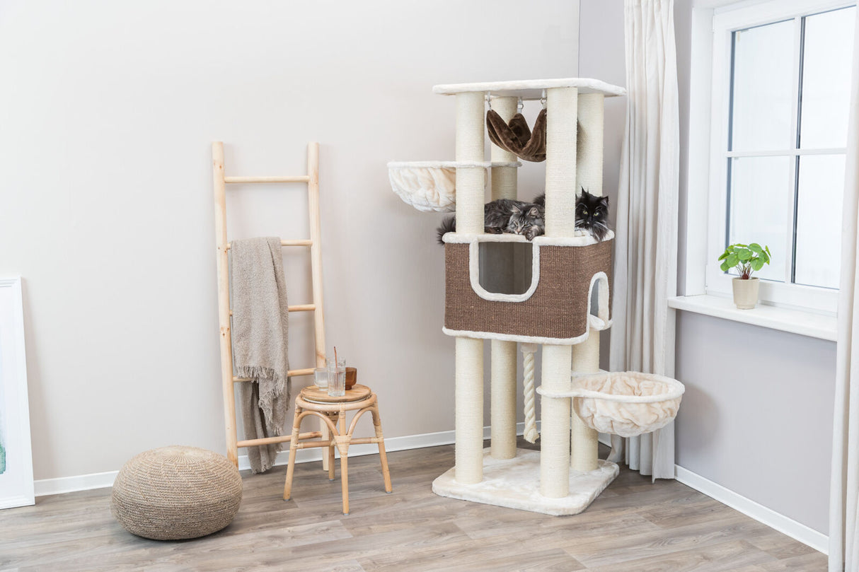 Kratzbaum aus beigem und braunem Stoff mit mehreren Plattformen und zwei Katzen, neben Holzleiter und Hocker.