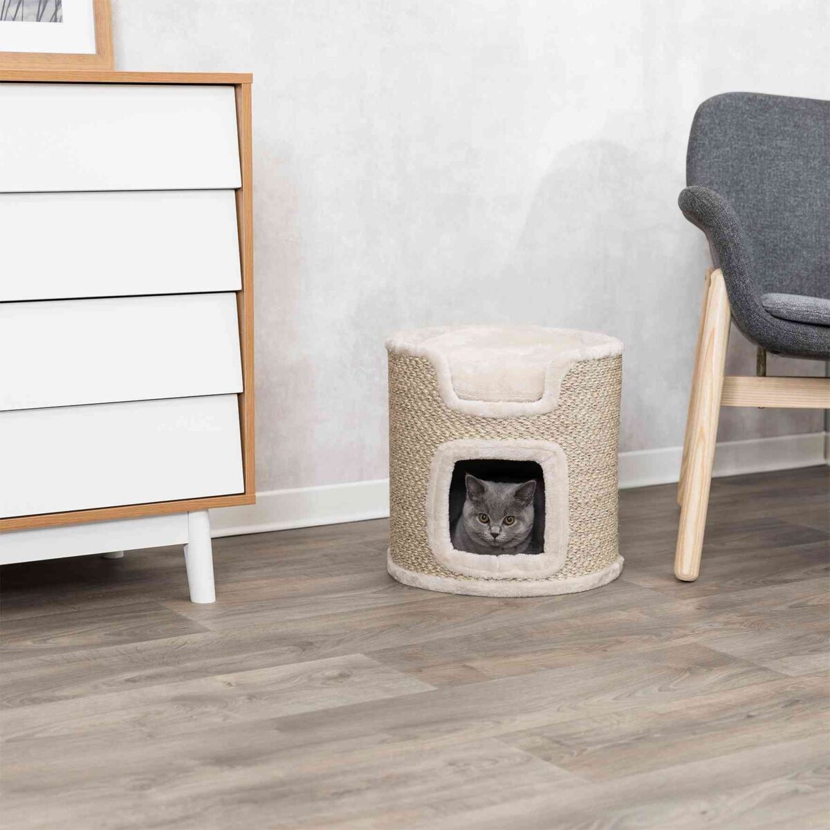 Graue Katze in einem beigen, zylindrischen Kratzbaum neben einem grauen Sessel und einer weißen Kommode.