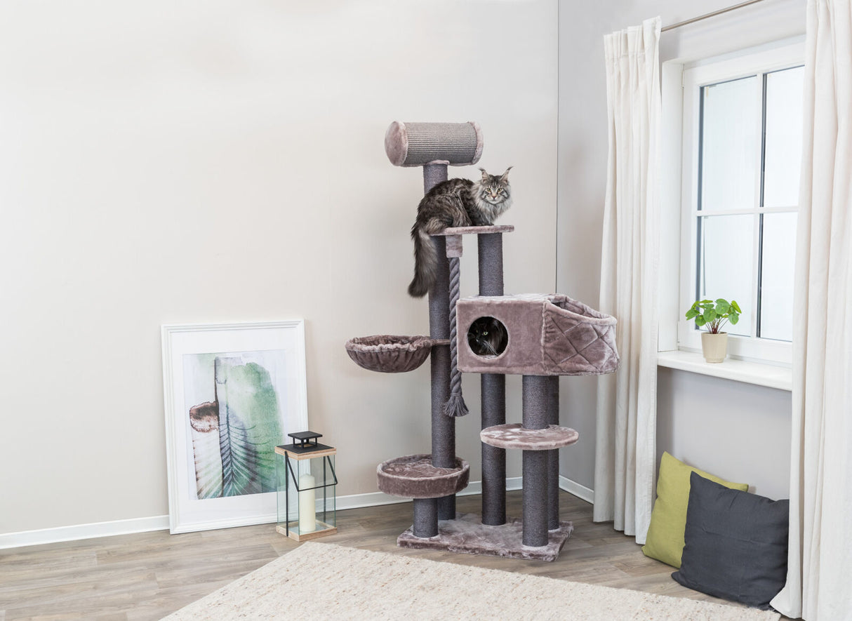 Kratzbaum mit grauer Plüschverkleidung und zwei Katzen in einem hellen Raum mit Fenster, Pflanzen und Kissen.