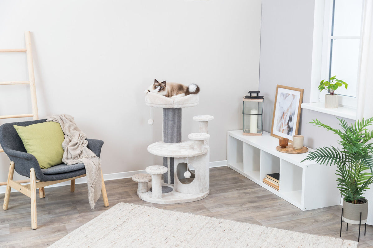 Ein beige Katzenturm in einem Wohnzimmer mit Holzfußboden, wo eine Katze oben liegt; daneben ein Sessel und Regal.