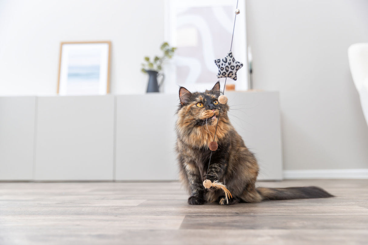 Eine getigerte Katze spielt mit einem hängenden Katzenspielzeug in einem hellen Raum.