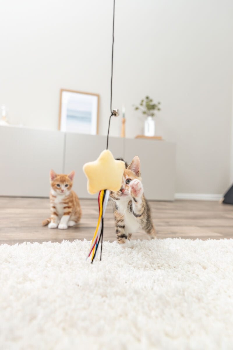 Spielangel mit Stern