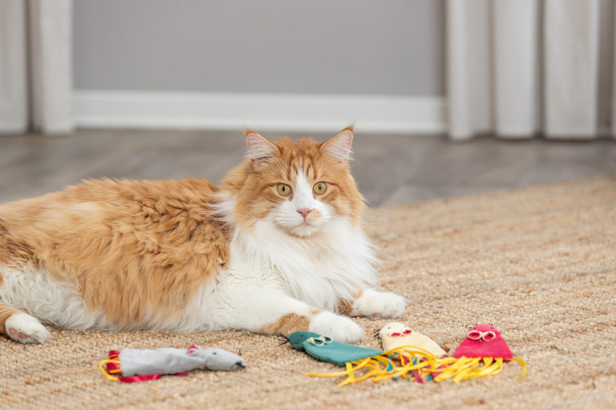 Eine orange-weiße Katze liegt auf einem Teppich neben buntem Katzenspielzeug.