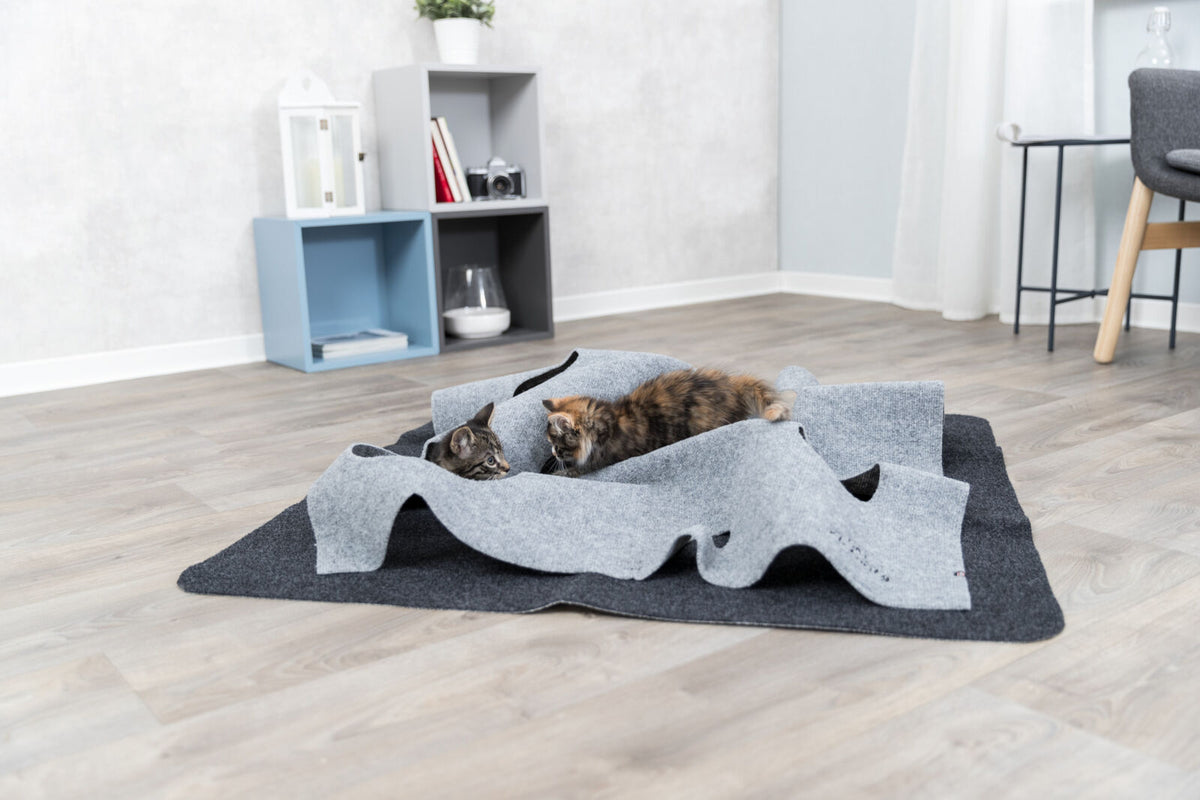 Zwei Katzen spielen auf grauen Stoffbahnen auf einem Holzboden in einem modern eingerichteten Raum.