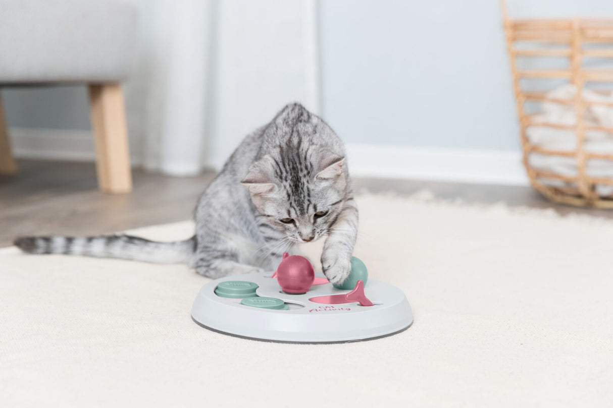 Graue Katze spielt mit einem Spielzeug auf einem hellen Teppich in einem Raum mit Holzboden und Korb im Hintergrund.