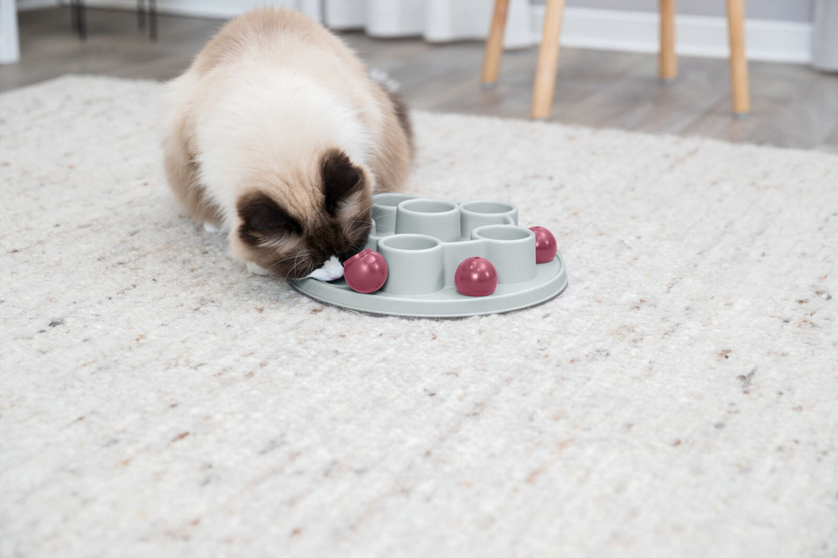 Eine Katze schnüffelt an einem grauen Spielzeug mit pinken Kugeln auf einem hellen Teppich in einem Raum.
