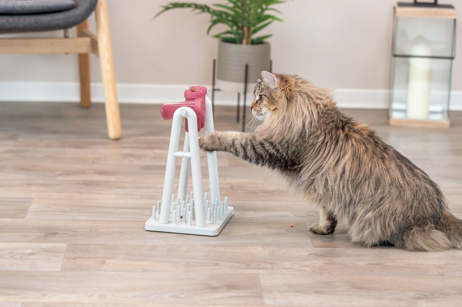 Eine langhaarige Katze interagiert mit einem weiß-rosa Spielzeug auf Holzboden, im Hintergrund eine Pflanze und eine Kerze.