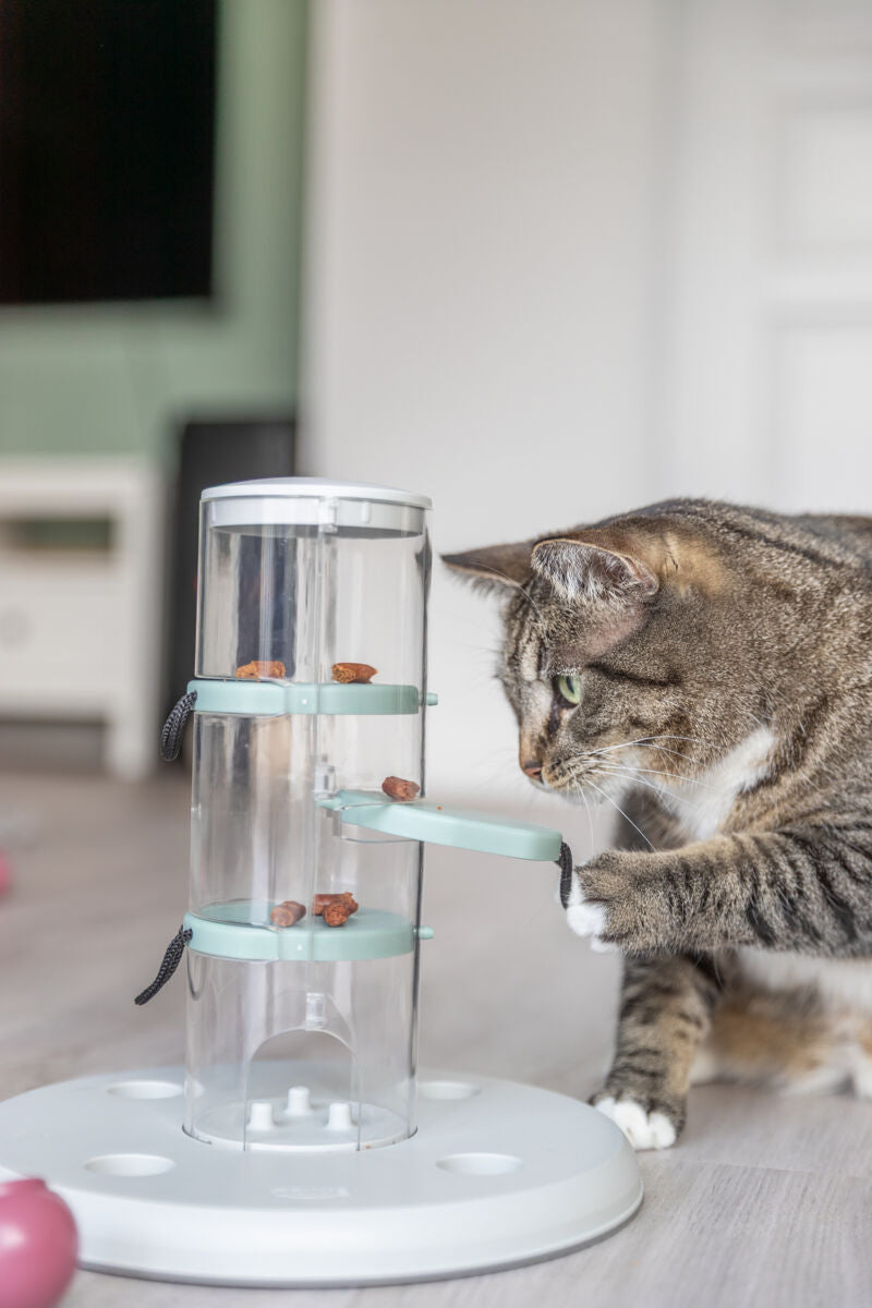 Eine gestreifte Katze interagiert mit einem durchsichtigen Spielturm mit grünen Elementen und darin enthaltenen Leckerlis.