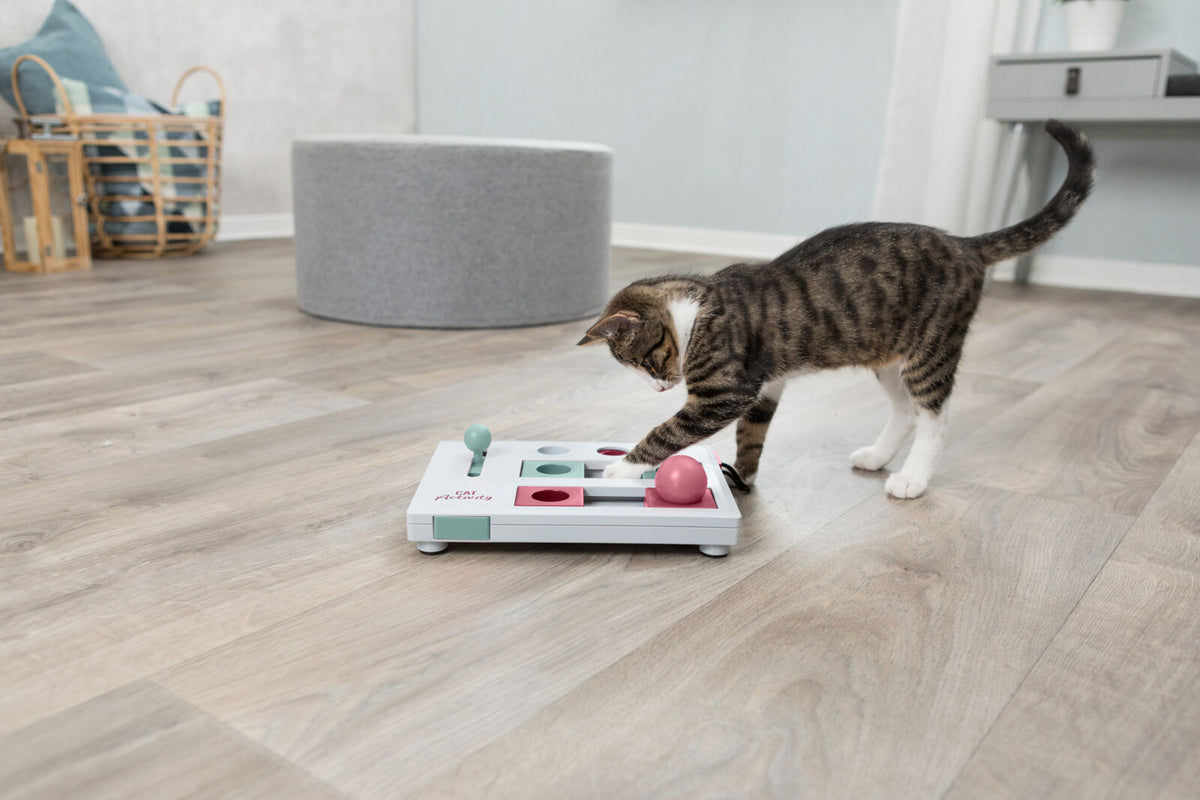 Eine Katze spielt mit einem weißen Spielzeug mit farbigen Knöpfen auf einem Holzboden in einem Wohnraum.