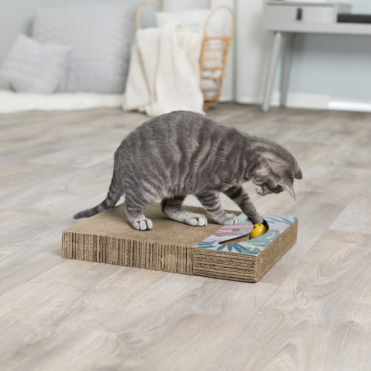 Graue Katze spielt mit einem gelben Ball auf einem rechteckigen Kartonkratzer auf hellem Holzboden im Wohnzimmer.