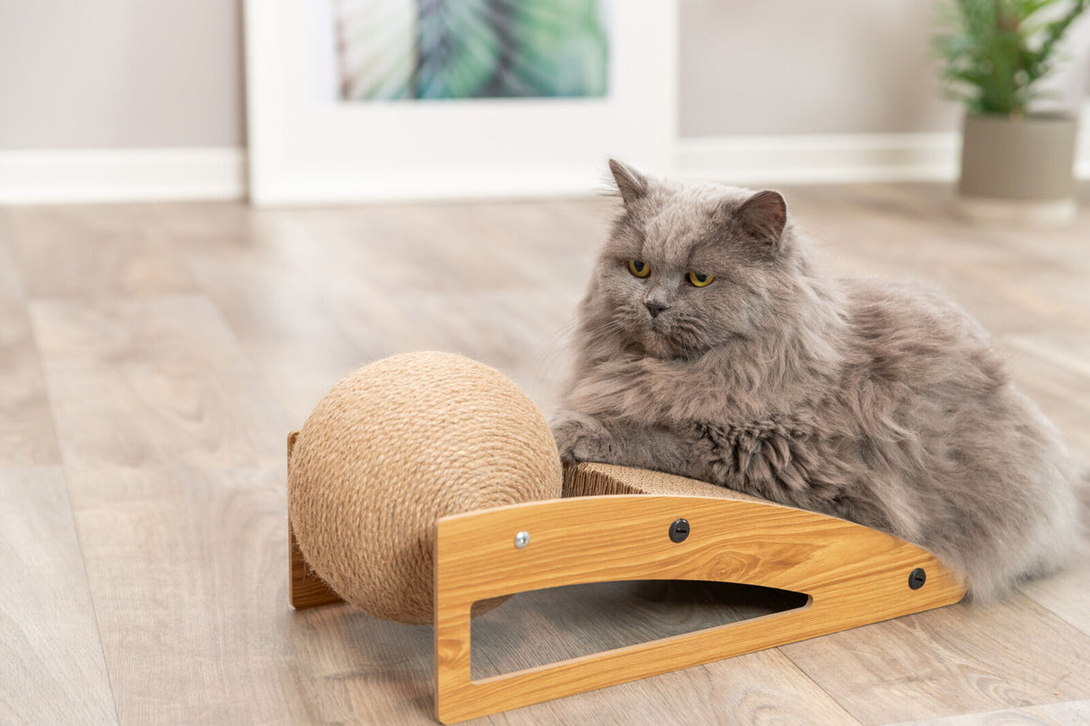 Graue Katze neben einem hölzernen Kratzbrett mit einer großen, kugelförmigen Sisalrolle in einem hellen Zimmer auf Holzboden.