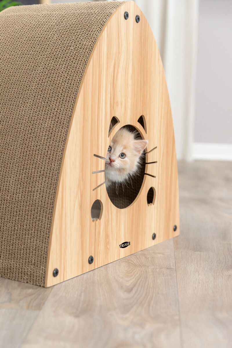 Eine kleine Katze schaut durch ein katzenförmiges Loch in einer Holzstruktur mit gewölbter Kratzfläche.