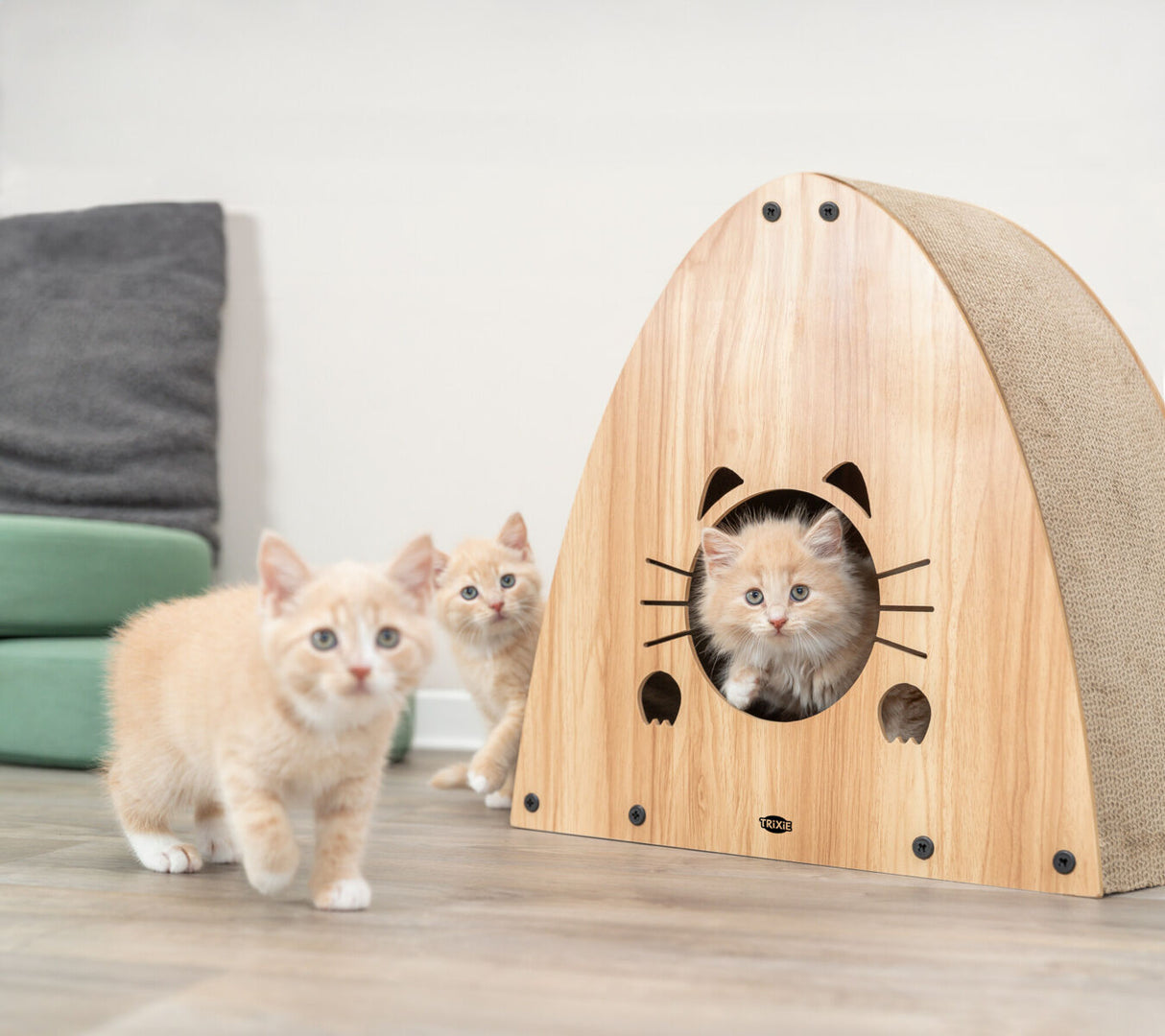 Drei kleine beige Kätzchen, zwei sind auf dem Boden, eins sitzt in einem hölzernen Katzenhaus mit Katzenmotiv.