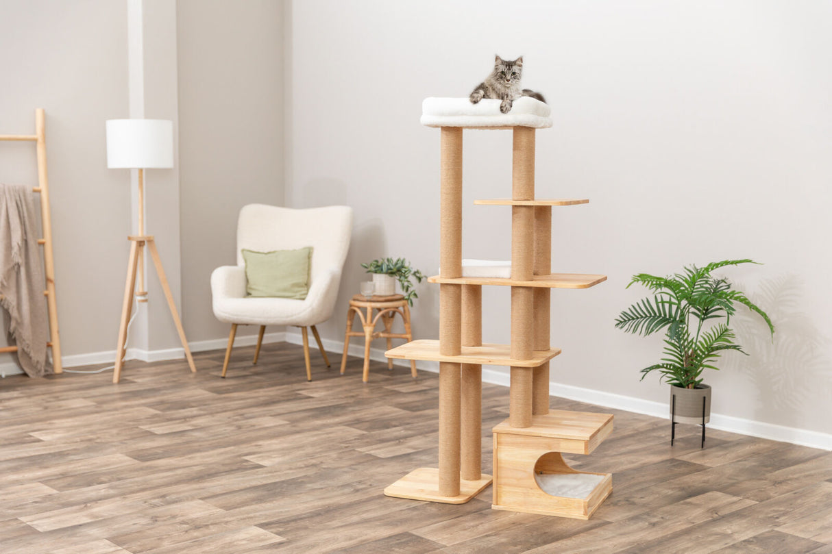 Kratzbaum mit mehreren Ebenen und hellen Holzoberflächen, oben eine graue Katze, daneben Sessel und Pflanze.