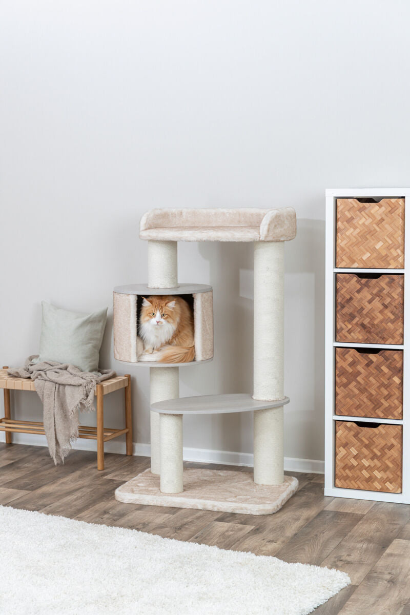 Katze sitzt in einer beigen Kratzbaumhöhle neben einem Holzhocker und einem Regal mit Körben.