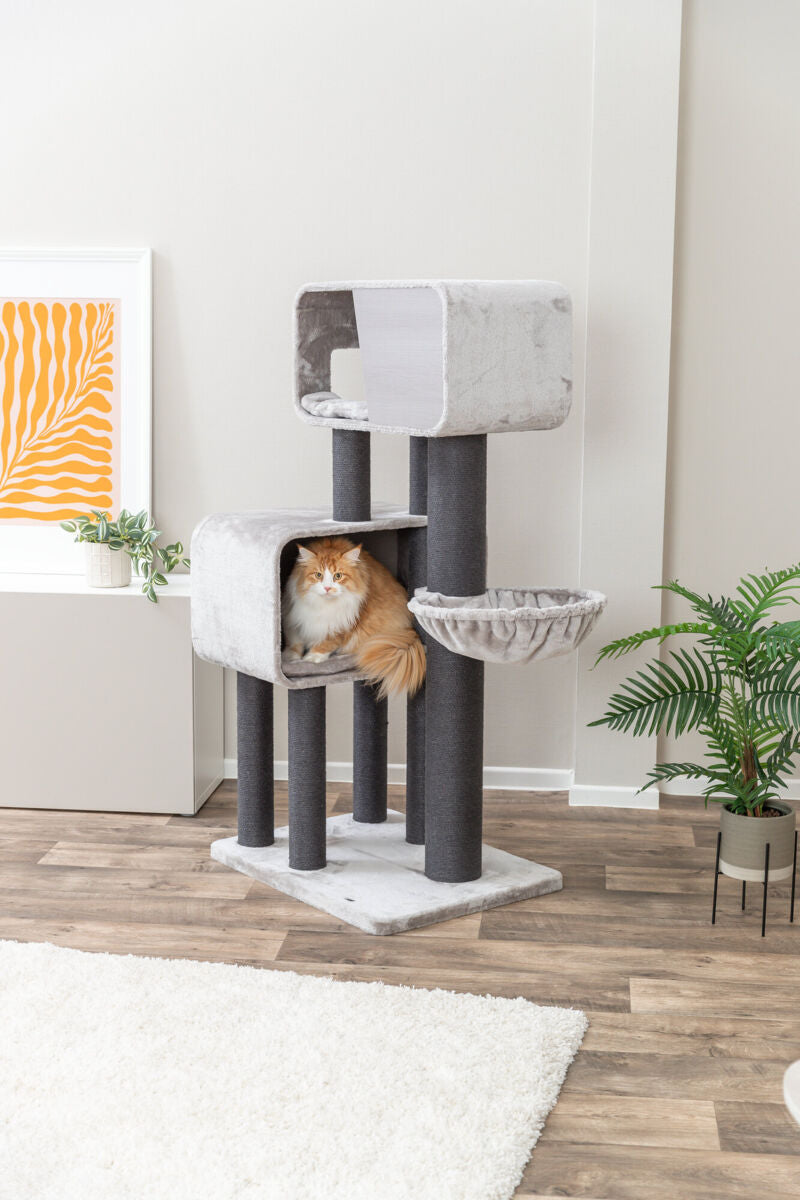 Kratzbaum XXL Rafael