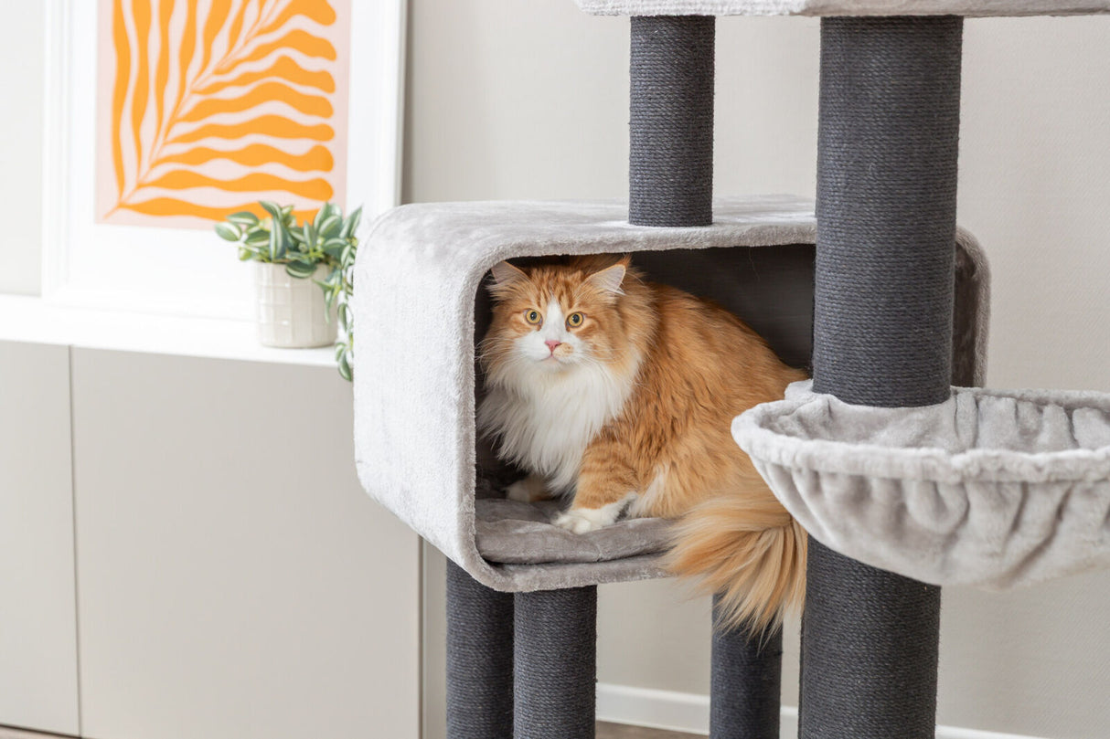 Kratzbaum XXL Rafael