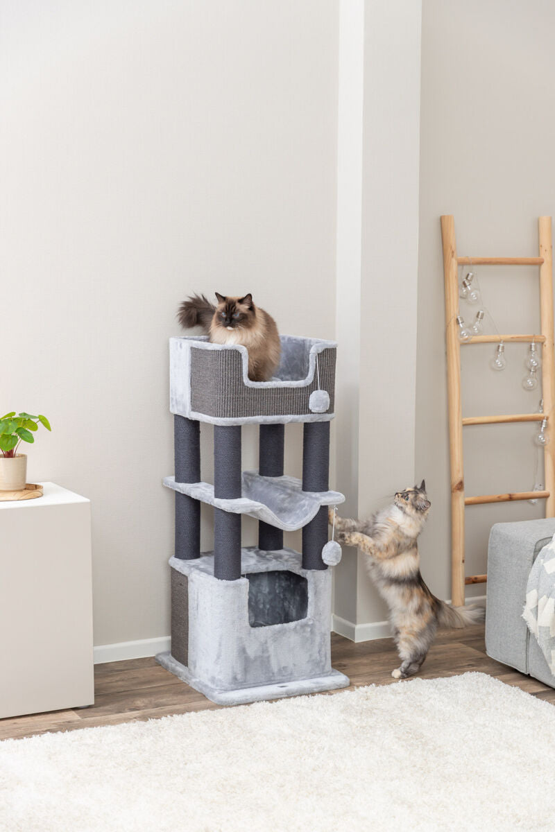 Zwei Katzen spielen auf einem grauen Kratzbaum in einem Wohnzimmer mit Holzboden.