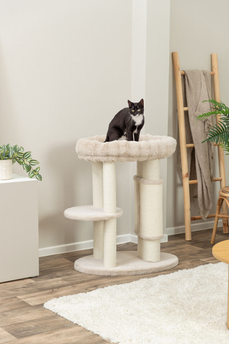 Schwarz-weiße Katze sitzt auf einem beigen Kratzbaum in einem Wohnzimmer mit Holzfußboden.