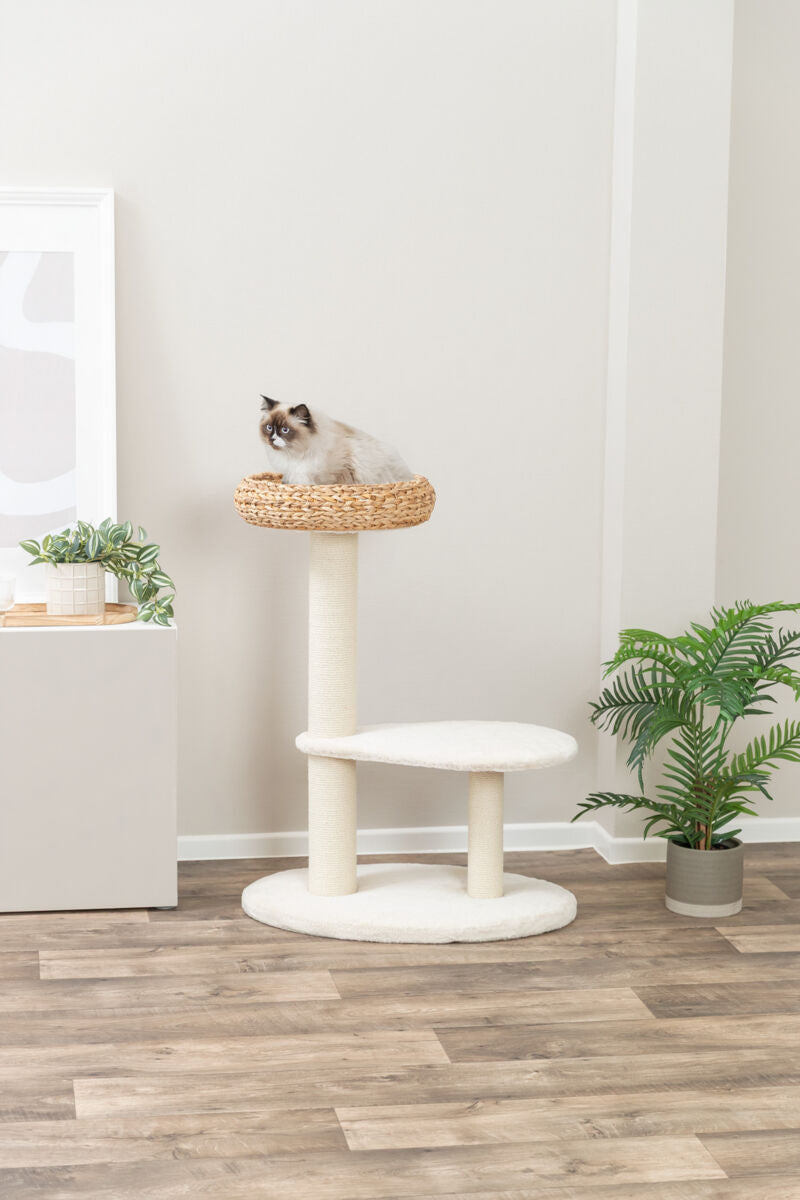 Katze sitzt in einem Korb auf einem Kratzbaum neben grüner Pflanze im Raum.