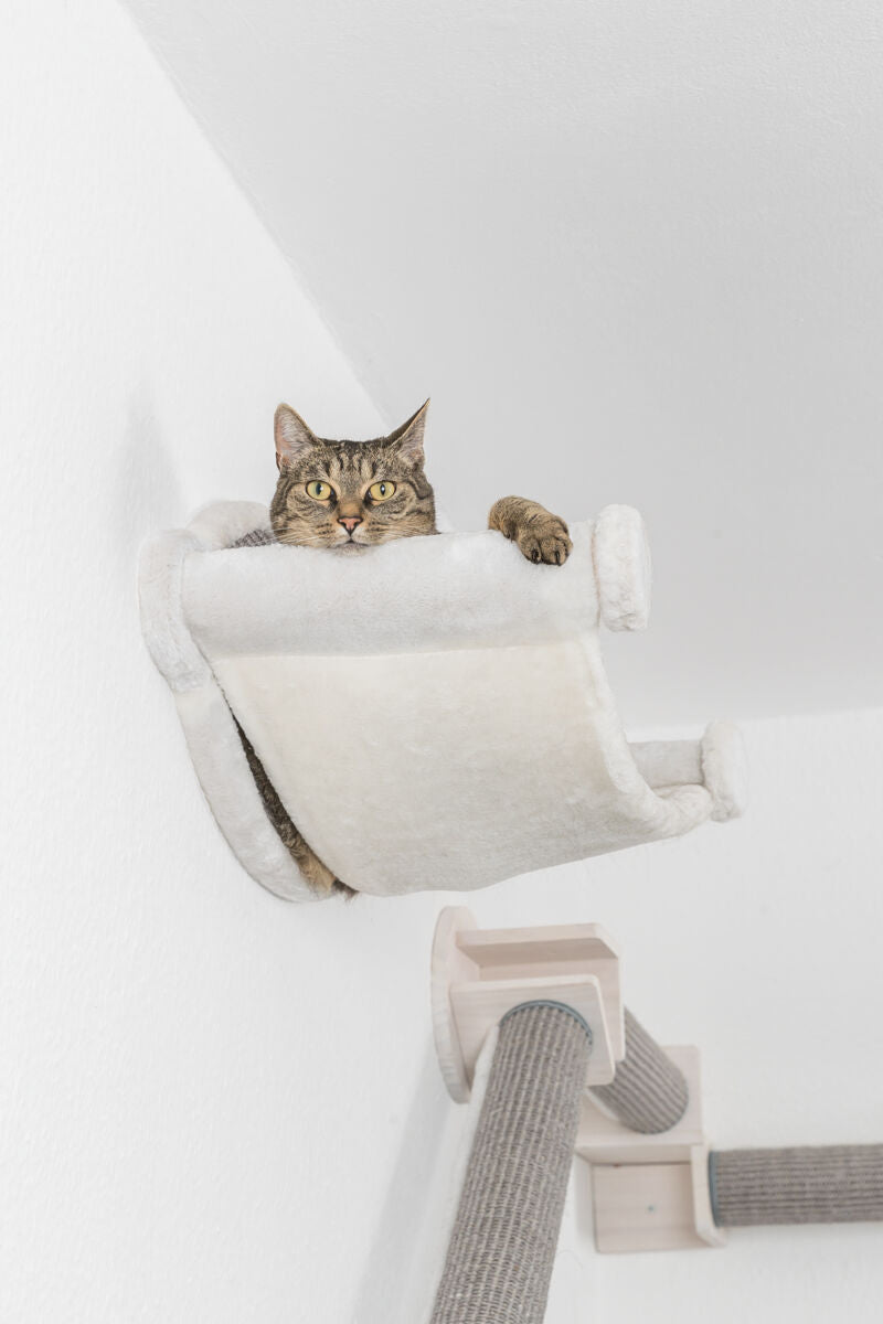 Katze liegt in einer an der Wand befestigten, flauschigen Hängematte in einem Raum mit weißen Wänden.