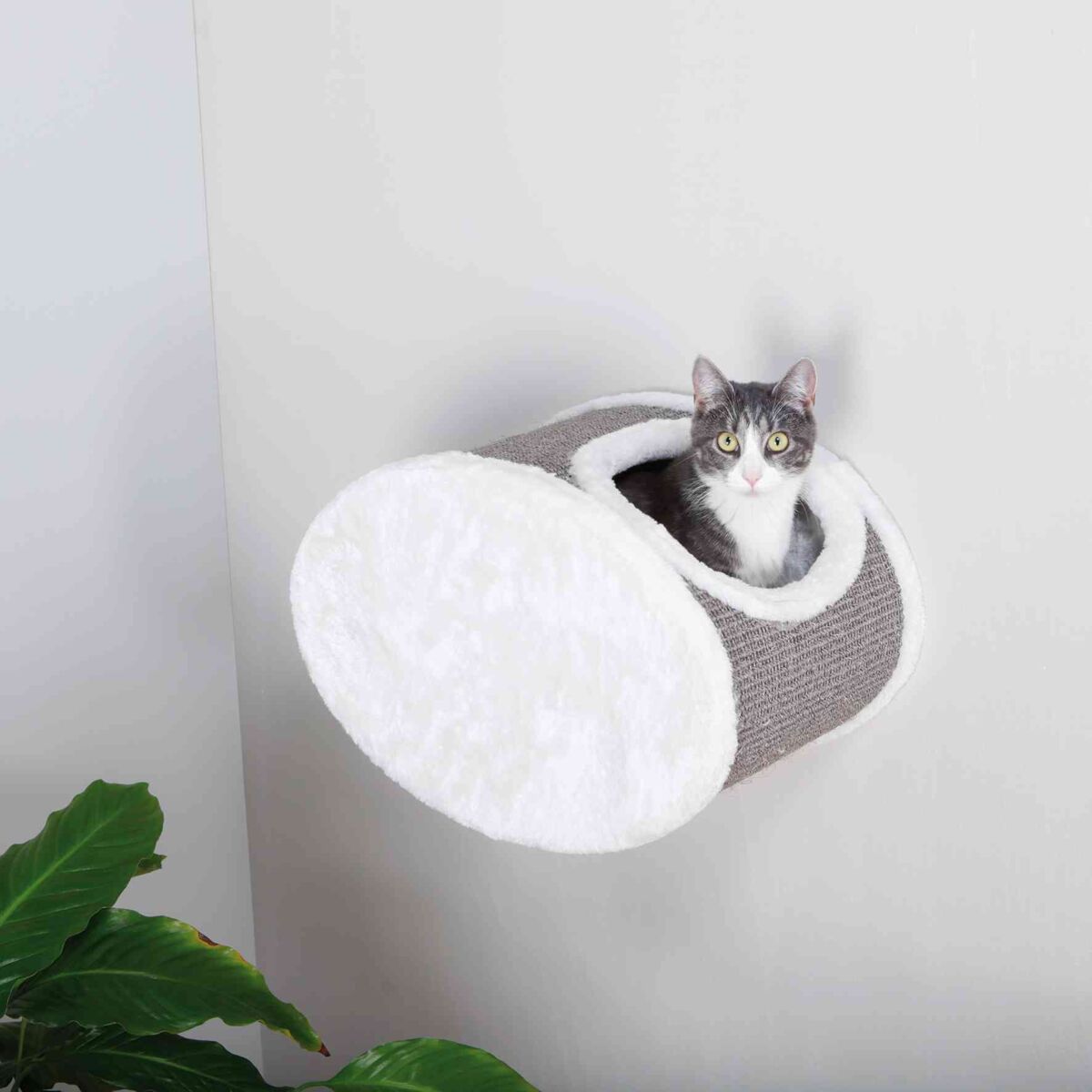 Graue und weiße zylindrische Höhle zeigt eine Katze, die aus der Öffnung herausschaut, mit einer Pflanze im Vordergrund.