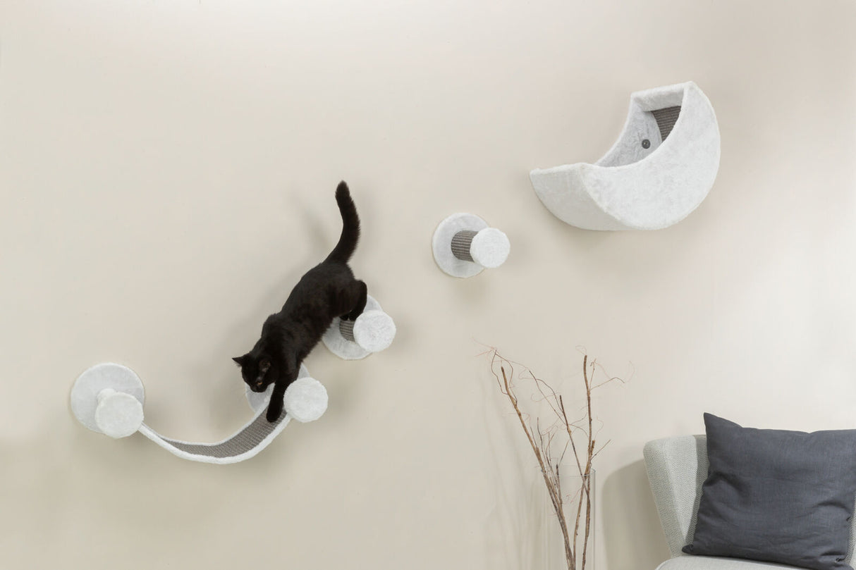 Schwarze Katze bewegt sich über weiße Wandplattformen, daneben ein grau gepolsterter Stuhl und eine Vase mit Zweigen.