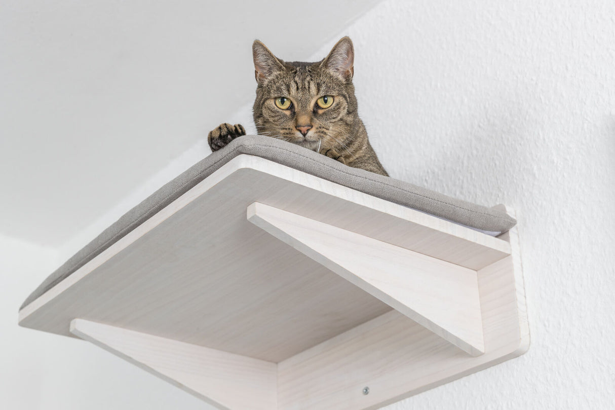 Eine Katze sitzt auf einem erhöhten, mit grauem Stoff gepolsterten Holzbrettelement an der Wand.