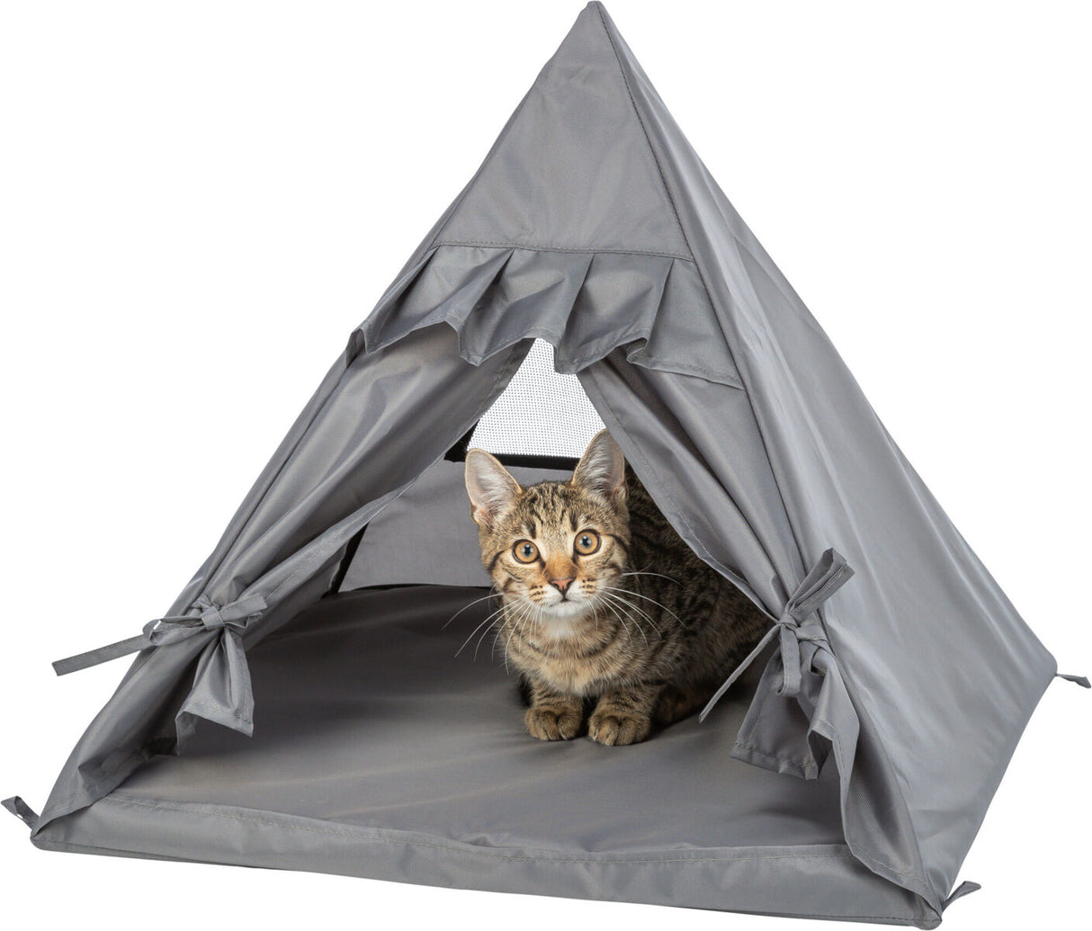 Graues Zelt mit Dreiecksöffnung, in dem eine getigerte Katze sitzt, das Innere und die Knoten des Zelts sind sichtbar.