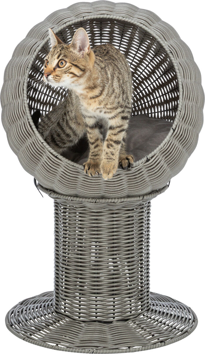 Getigerte Katze sitzt in einem runden, grauen, geflochtenen Körbchen mit erhöhtem Standfuß.