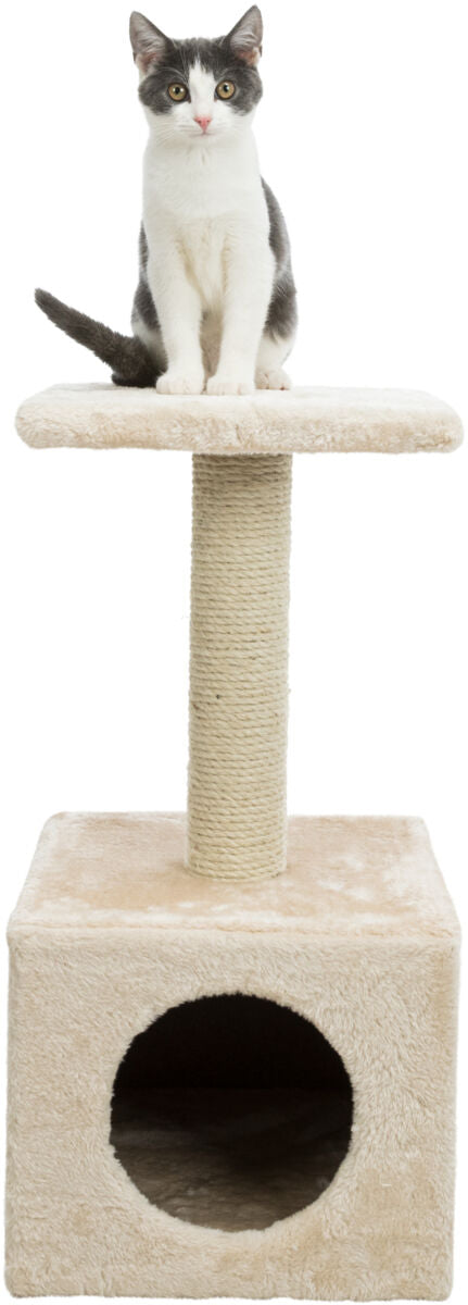 Eine Katze sitzt auf einem beigen Kratzbaum mit quadratischer Höhle und mittlerer Sisalsäule.
