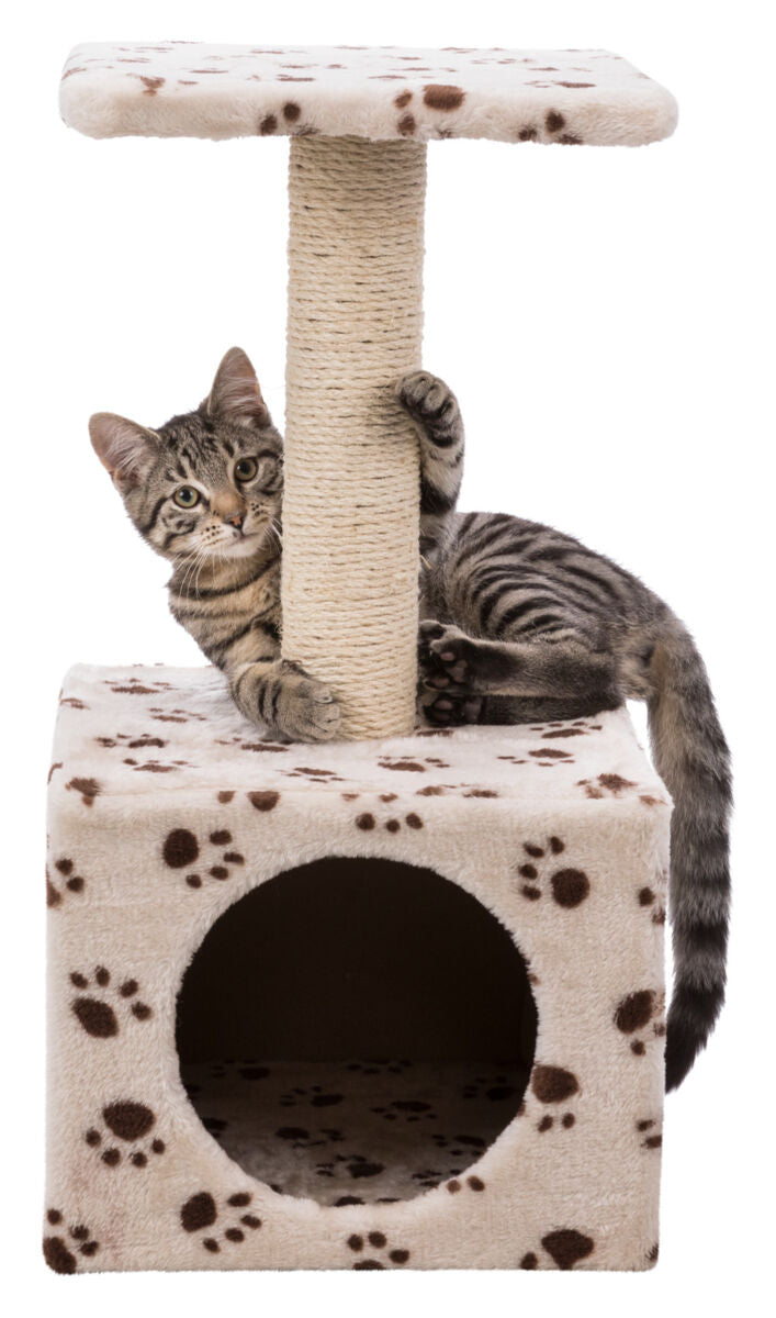 Katzenbaum mit Sisalsäule und gepolsterter Plattform, darunter ein Würfel mit Pfotenmuster, darauf eine Katze.