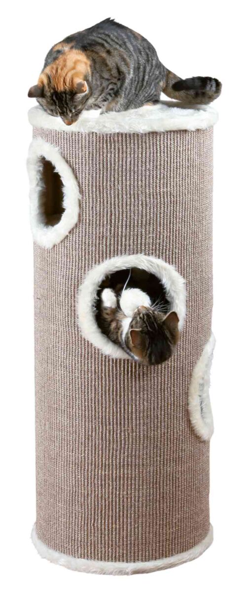 Zwei Katzen auf einem beigen Kratzbaum mit mehreren runden Öffnungen, obere Katze liegt auf dem Baum.