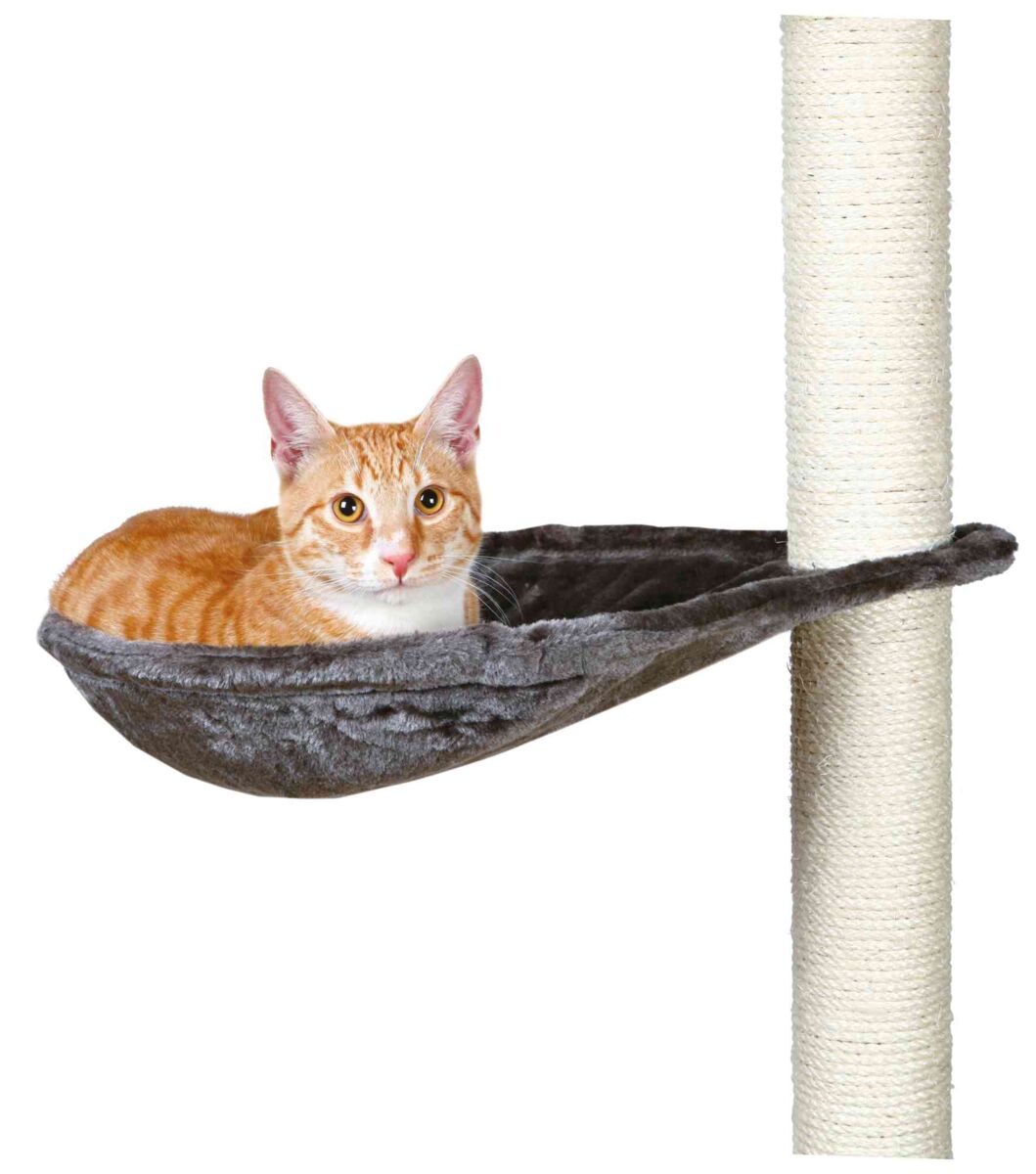 TRIXIE Liegemulde für Kratzbäume, Ersatzteil Kratzbaum Katze – TRIXIE  Heimtierbedarf GmbH & Co. KG