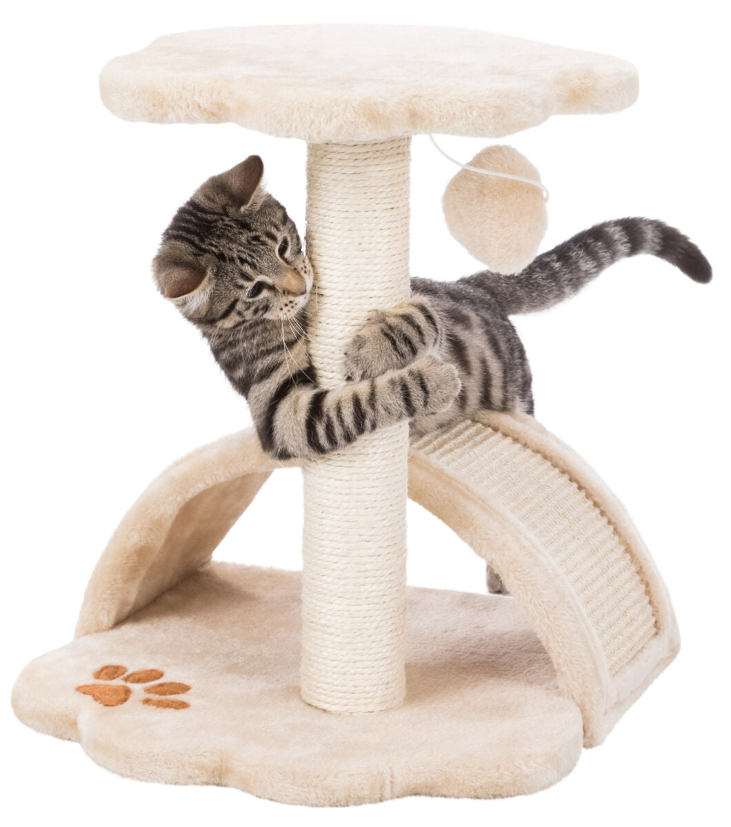 Graue Katze spielt auf einem beigefarbenen Kratzbaum mit runder Plattform, Kratzfläche und Spielball.