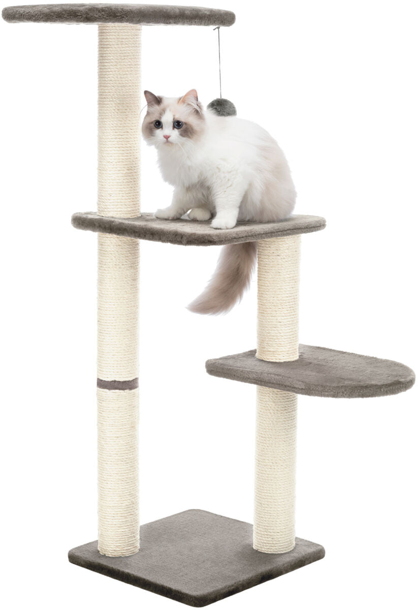 Eine weiße Katze sitzt auf einem Kratzbaum mit mehreren Ebenen und einem Hängespielzeug an einer Schnur.