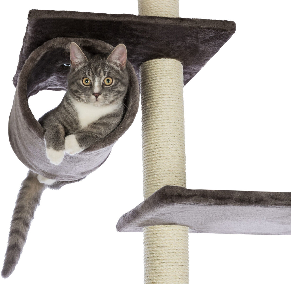 Graue Katze liegt entspannt in einem grauen Röhrentunnel eines Kletterbaums mit Sisalsäule und Plattformen.