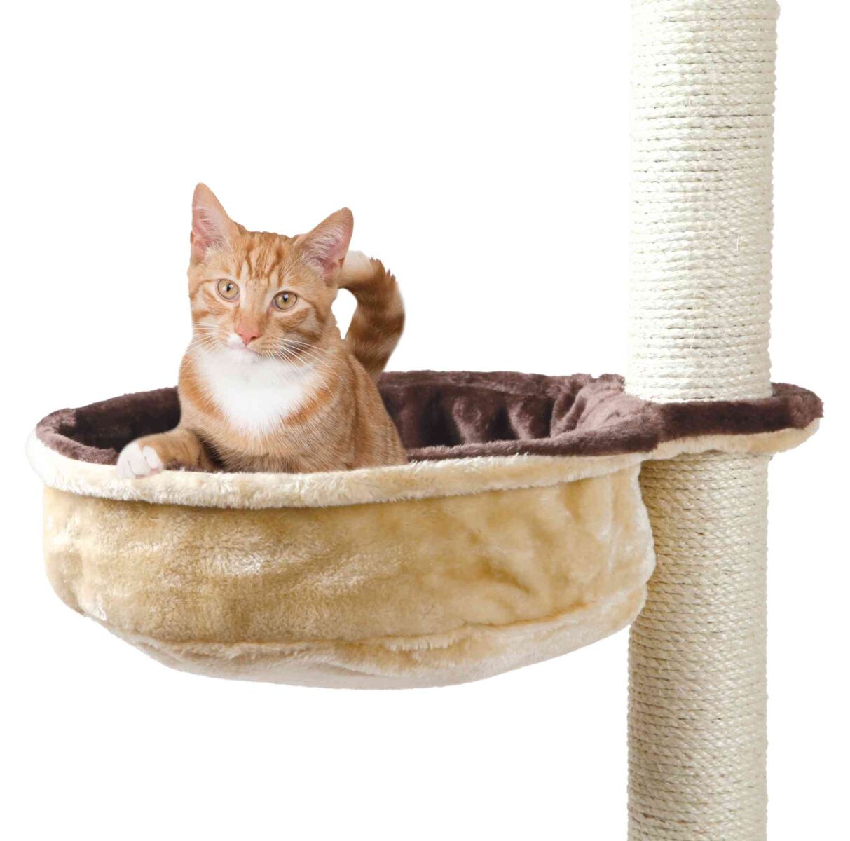 Rote Katze sitzt in einem beigen und braunen Plüschbett, das an einem Kratzbaum befestigt ist.