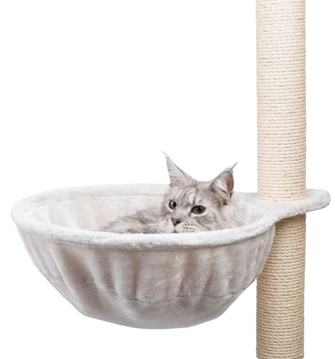 Eine graue Katze liegt in einer hellen, weichen Hängematte, die an einem vertikalen Kratzbaum befestigt ist.