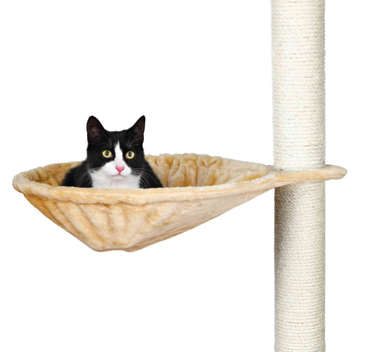 Schwarz-weiße Katze in beiger Hängematte, die an einem Kratzbaum befestigt ist.