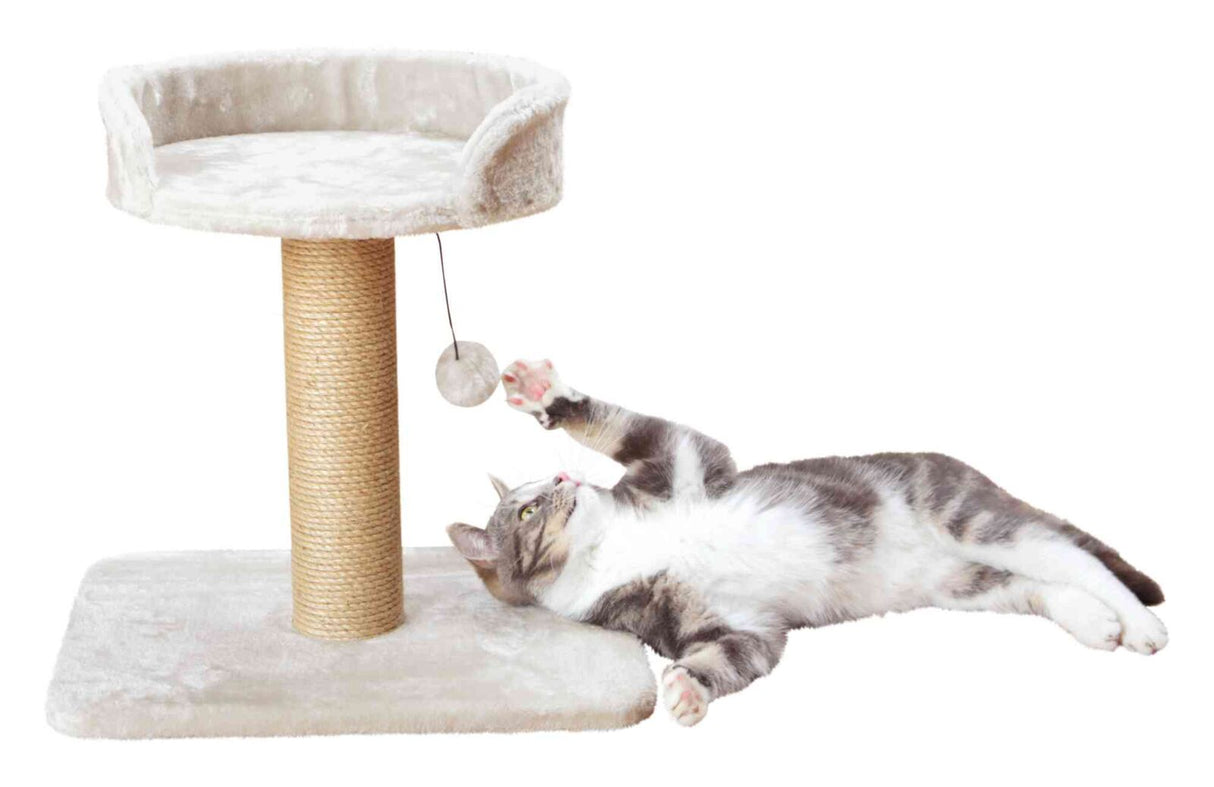 Katzenkratzbaum mit beigem Sitzbereich und Sisalstamm, Katze spielt mit hängendem Ball auf hellem Hintergrund.