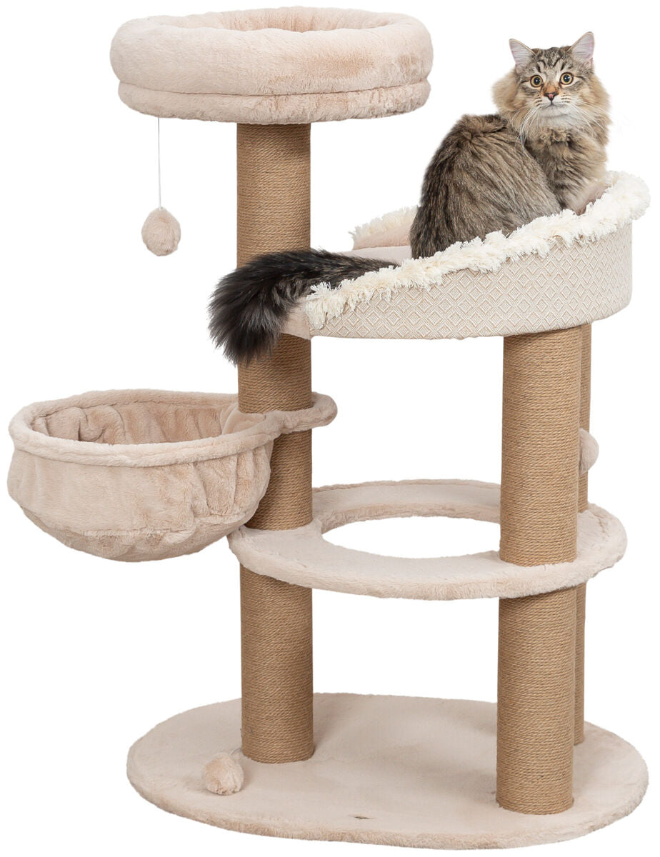 Katzenkratzbaum mit drei Ebenen, beige Plüsch- und Sisalflächen, hängender Ball, darauf sitzende Katze.