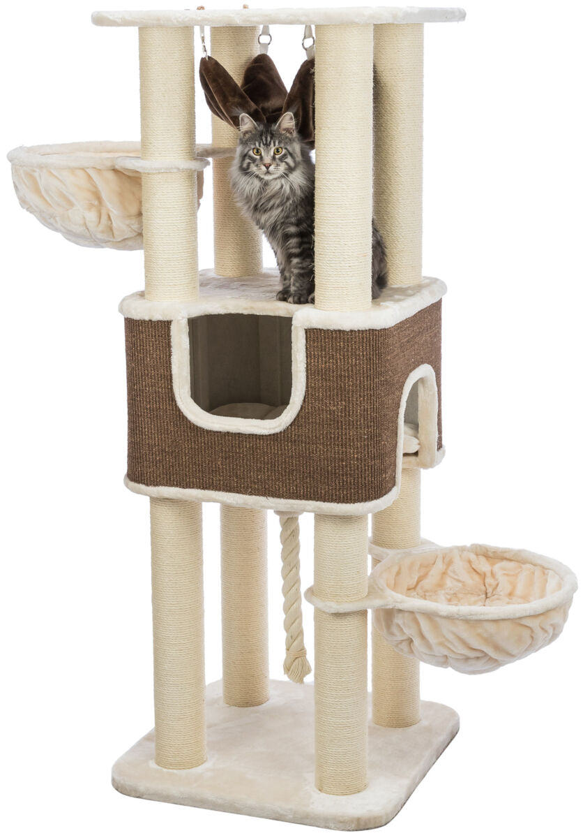 Ein brauner Kratzbaum mit mehreren Ebenen, Hängematten und einer gemütlichen Höhle, auf dem eine Katze sitzt.