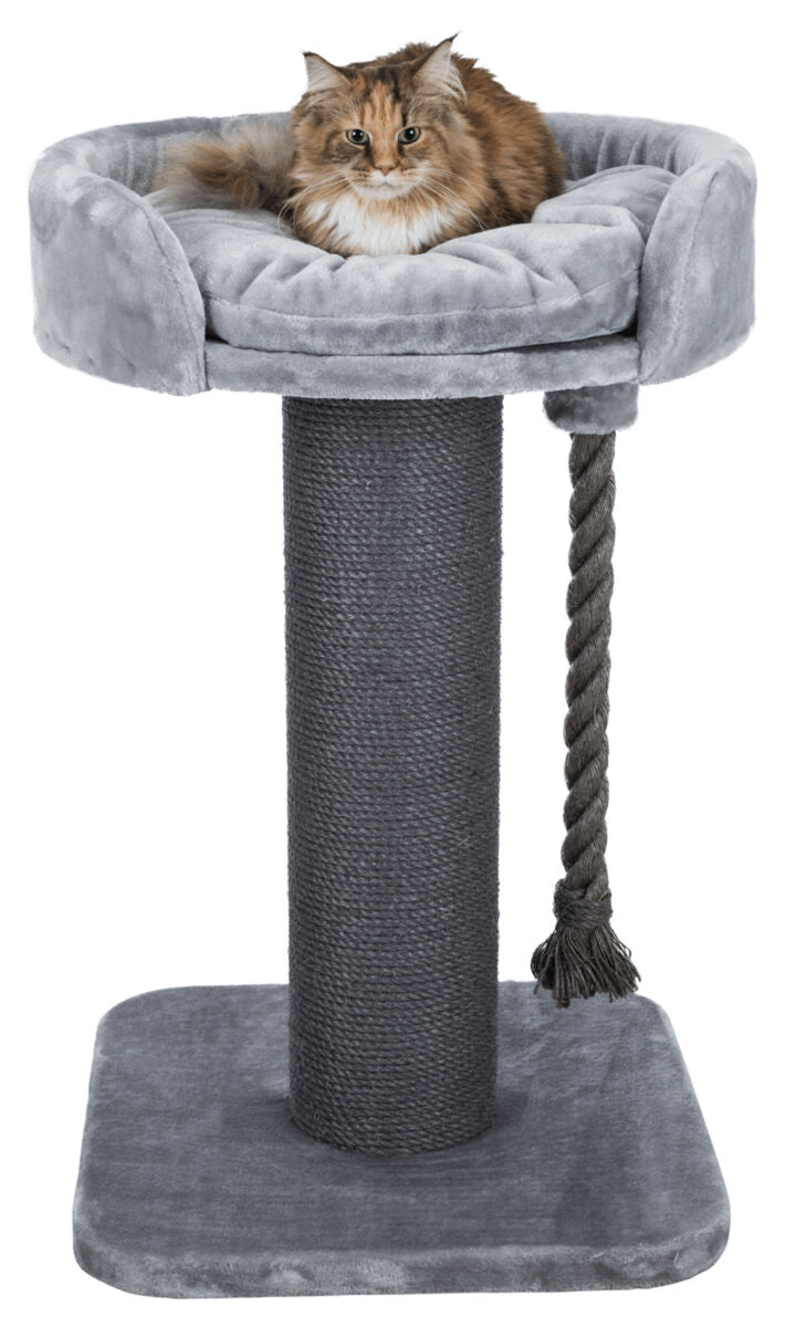 Katze liegt auf einem grauen Kratzbaum mit runder Liegefläche und Sisalstamm, daneben hängt ein geflochtenes Seil.