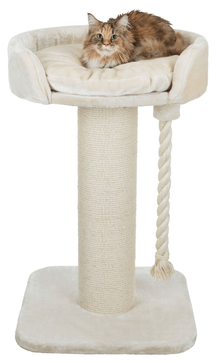 Eine Katze liegt auf einer beigen, runden Katzenplattform mit Kratzsäule und herabhängendem Seil.