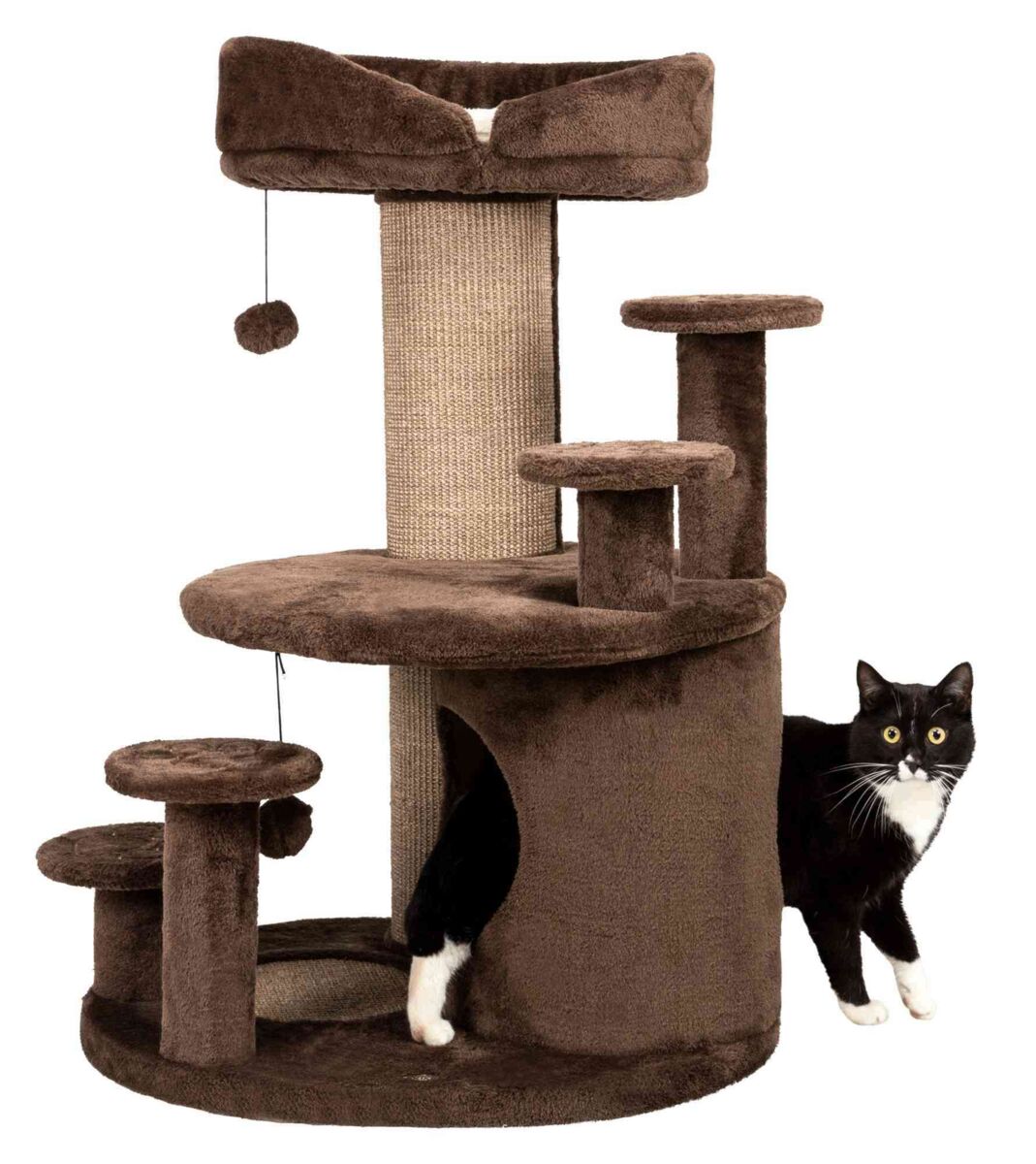 Brauner Kratzbaum mit mehreren Ebenen und Plattformen, an dem ein schwarz-weißer Kater steht.