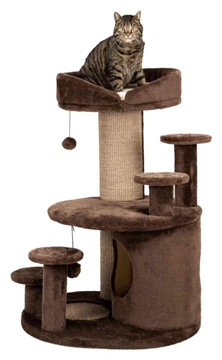 Brauner Kratzbaum mit mehreren Plattformen, Sisalstamm und Höhle, auf dem eine Katze sitzt.