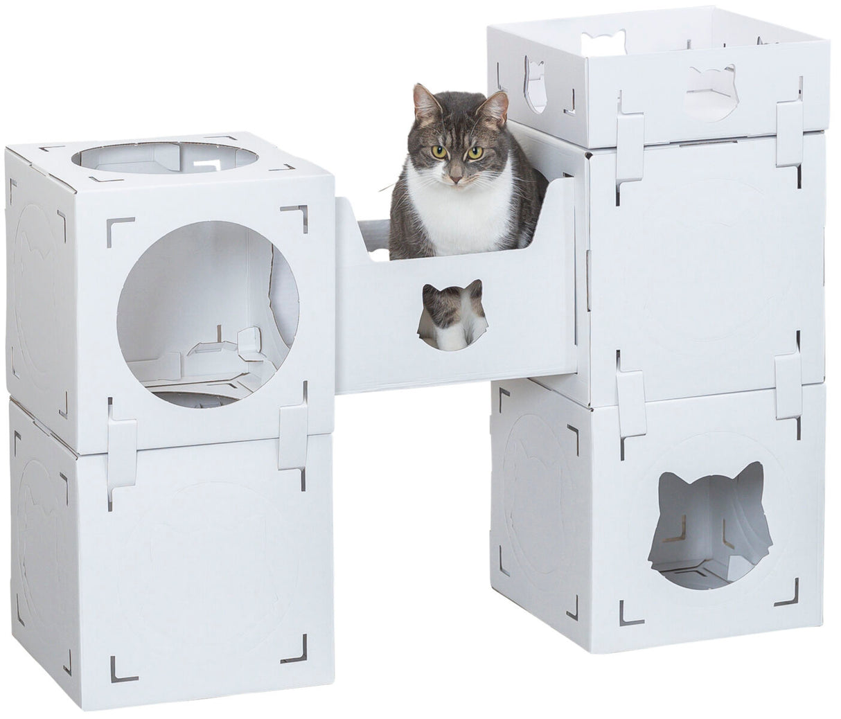 Weiße modulare Katzen-Spielstruktur aus Karton mit einer Katze, die in einem der offenen Fächer sitzt.