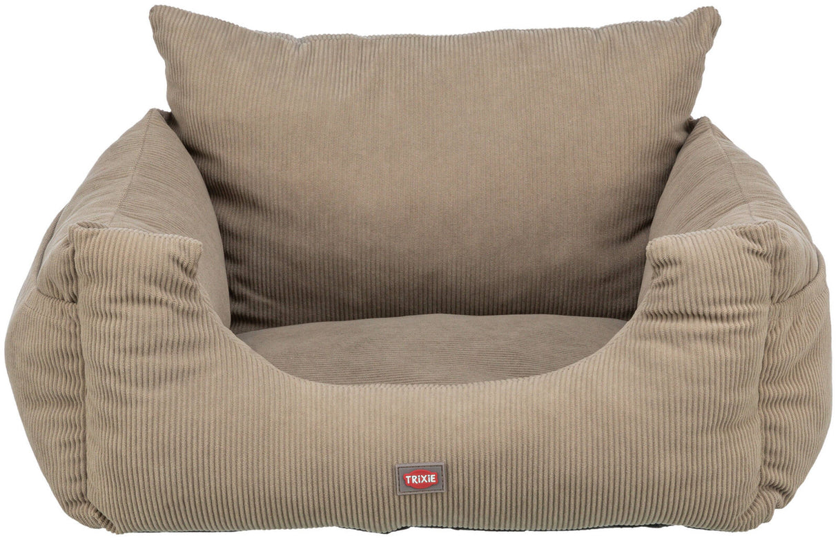 PHO_PRO_CLIP_13220-1