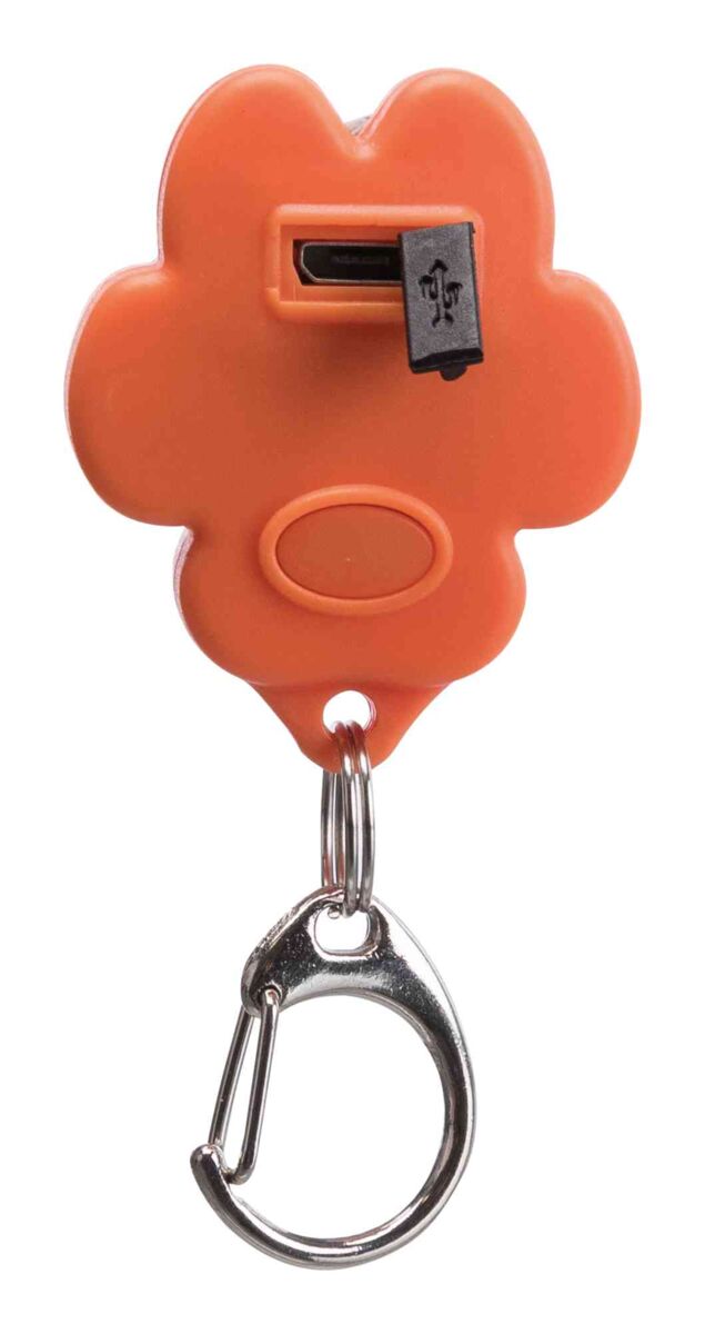 Orangefarbener, blumenförmiger Schlüsselanhänger mit USB-Anschluss und silbernem Karabinerhaken unten.